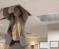 Dwight pulls down ceiling for flag