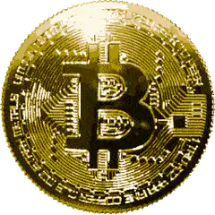 Gold Bitcoin Coin Spinning