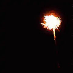 Colorful fireworks exploding in night sky