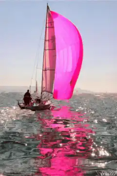 Sailboat with bright pink sail