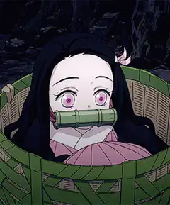 Nezuko blinking in basket