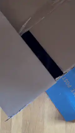 Cat in a box