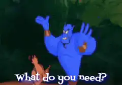 Genie asks what do you need