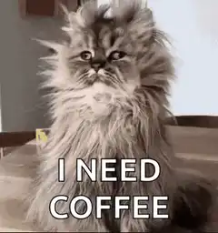 Fluffy cat I need coffee