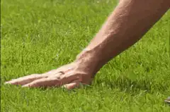 Hand pressing into green grass