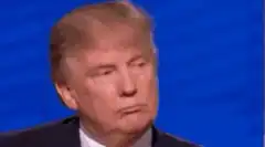Donald Trump tapping his head