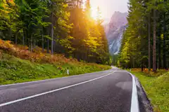 winding road through forest with mountain