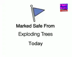 Marked Safe From Exploding Trees Today