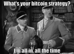 What's your bitcoin strategy I'm all in all the time