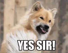Dog saying yes sir