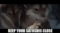 Keep Your Satoshis Close Wolf Girl