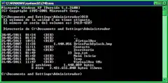 Windows XP command prompt DIR /S output