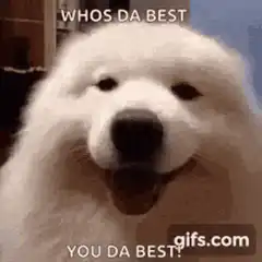 Who's da best dog