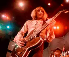Tom Petty playing guitar on stage