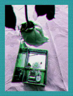 Color shifting rose and jewelry box