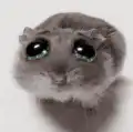 Sad hamster with big watery eyes