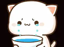 Crying cat with blue liquid