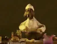 Dog chef mixing ingredients
