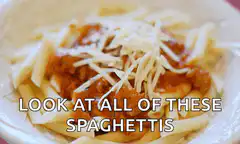 Look at all of these spaghettis