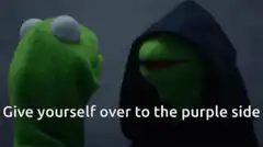 Kermit Hooded Give Yourself Over To The Purple Side