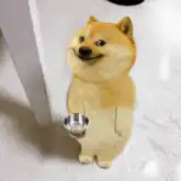 Doge holding a bowl