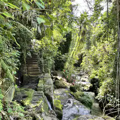 stone steps beside mossy stream in jungle