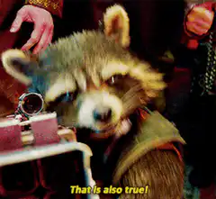 Rocket Raccoon That Is Also True