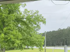 Rain falling on trees and field