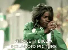 Shake It Like a Polaroid Picture