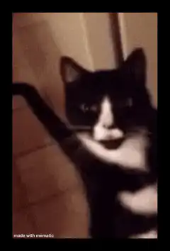 Cat with glowing red eyes and laser beams