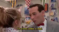 I'm a loner, Dottie. A rebel.