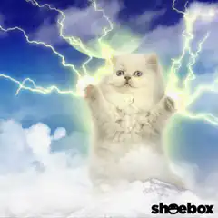 Magic Cat Lightning