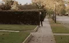 person peeking from behind hedge