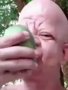 Bald man eating a green fruit