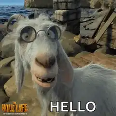 Goat says hello