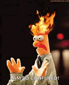Bertie Head on Fire Confused