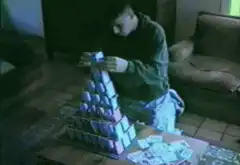 Cat knocks over card house
