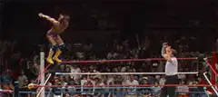 Wrestler performs a flying crossbody