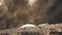 Baby Yoda peeks over a ledge