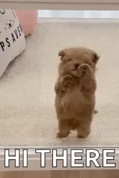 Puppy waving hi there