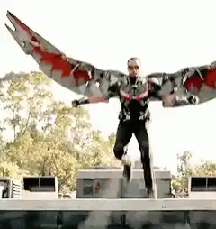 Falcon deploys wings