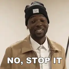 No, Stop It Meme