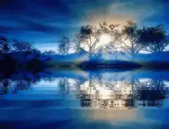 Sunrise over lake with trees