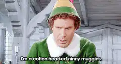 Buddy the Elf cotton-headed ninny muggins