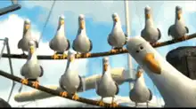 Seagull on wire laughs