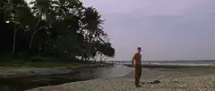 man standing on beach