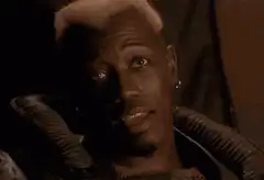 Wesley Snipes as Blade saying exactamundo