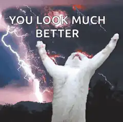 Cat with arms raised lightning storm
