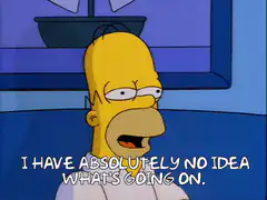 Homer Simpson I Have Absolutely No Idea