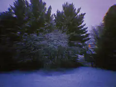 Snowy trees with glitch effect